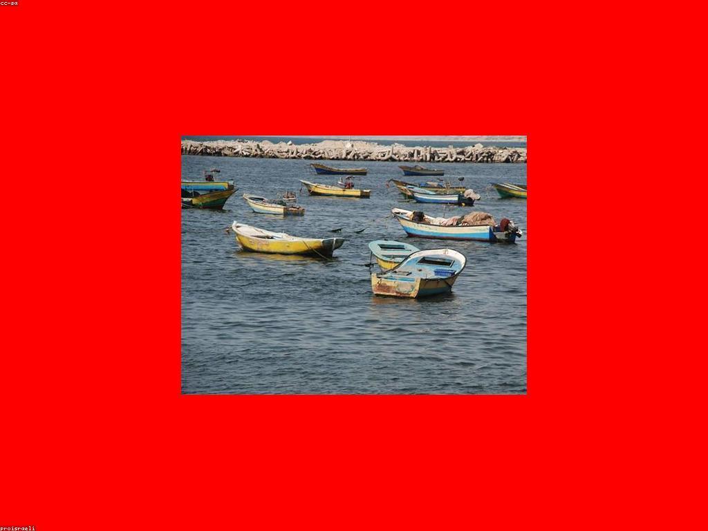 គន្លឹះបាញ់ត្រីសម្រាប់ភាពជោគជ័យ